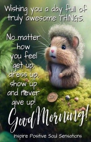 18ba1c3b1a3c4b378e071e09fc99a24f[1].jpg