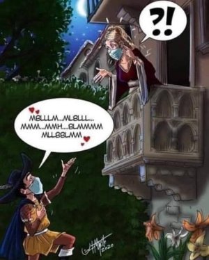 IMG_4583.jpeg