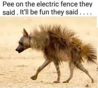4ed444d82002f72b310adf3bd17286ab.jpg