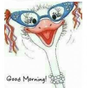 Good morning funn..jpg
