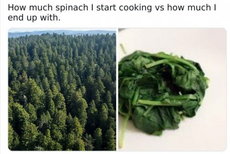 616e6c8cb9d57-funny-food-memes-pics-57-616d7a60e8a48__700.jpg