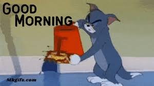 IMG_4617.jpeg