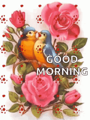 good-morning-birds.gif