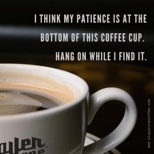 IMG_2723.jpeg
