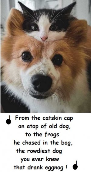 0.jpg