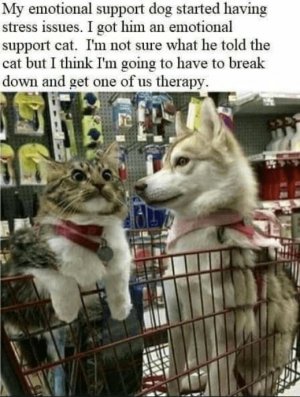 animal3.jpg
