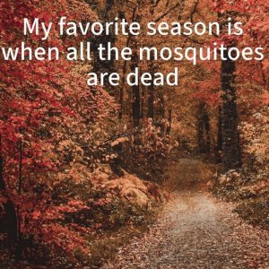IMG_4660.jpeg