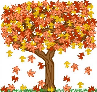 Autumn Tree.jpg