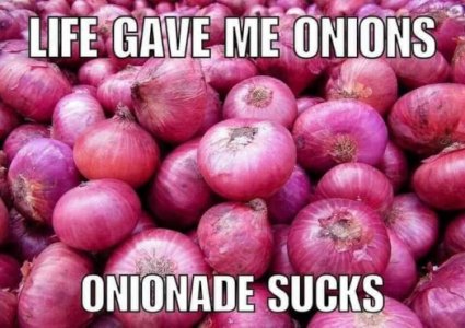 9.jpeg