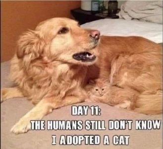 IMG_4654.jpeg