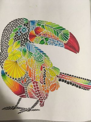 35f97a3b6c7bc3f3978e6456d2ba411f.jpg