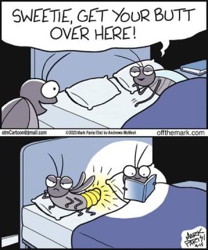 FB_IMG_1695107659697.jpg