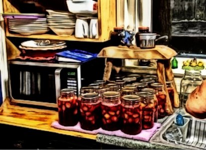 canning has begun.jpg