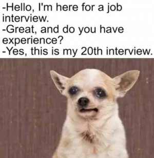 FB_IMG_1695184520276.jpg