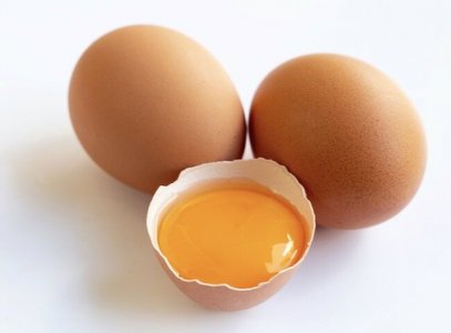 egg.jpeg