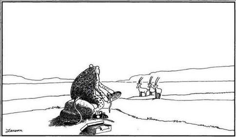 Farside cheetah running.jpg