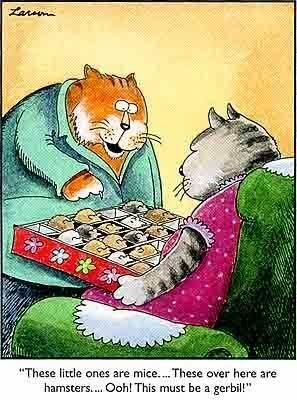 Farside Cat and mouse.jpg