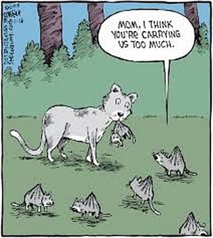 Mother & kits.jpg