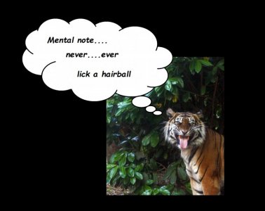 hairball.jpg