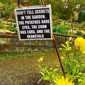 garden joke.jpg