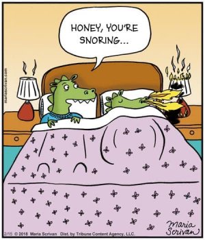 dragonsnoring.jpg