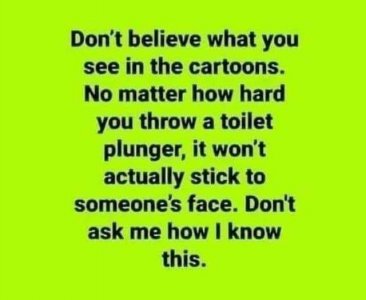 toiletplunger.jpg