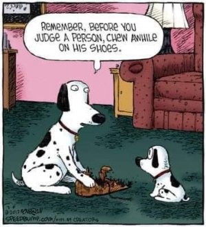 chewonshoes.jpg