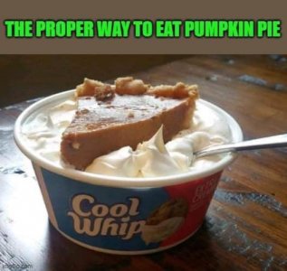properpumpkinpie.jpg