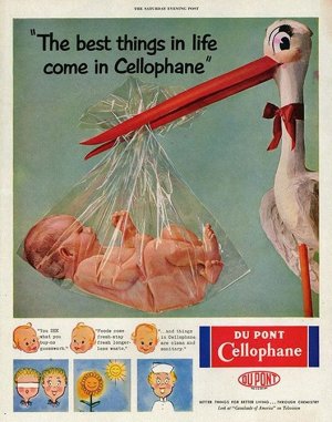 cellophane.jpg