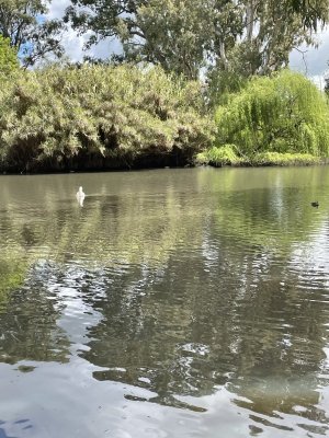 IMG_5683.jpeg