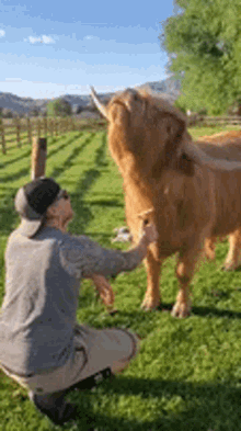 animal-awww.gif