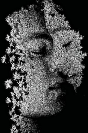tumblr_75d020eba41c515c849cc3aa58d19de7_02de033b_640.jpg
