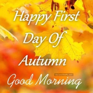 F467CC3A-50EA-4723-9BD2-E175B46407CD.jpeg