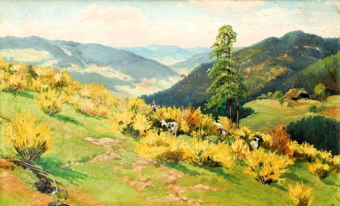 black forest.jpg