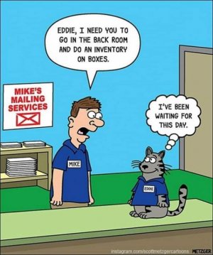 FB_IMG_1695401069284.jpg