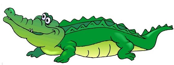 alligator.jpg