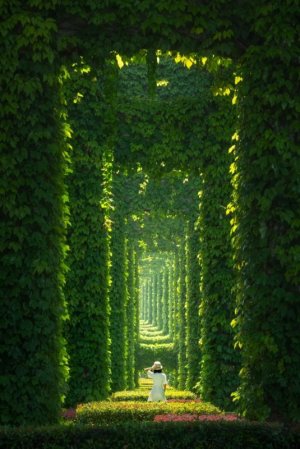 peace portal gr.jpg