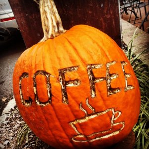 fall.jpg