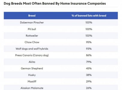 banned dogs.JPG