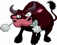 bull 2.jpg