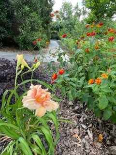 IMG_0483.jpeg