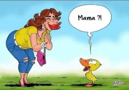 FB_IMG_1695598462307.jpg
