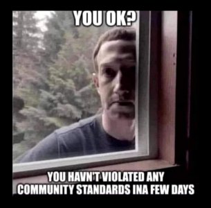 IMG_4603.jpeg