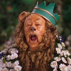 If I Where King Of The Forest - Cowardly Lion….jpg