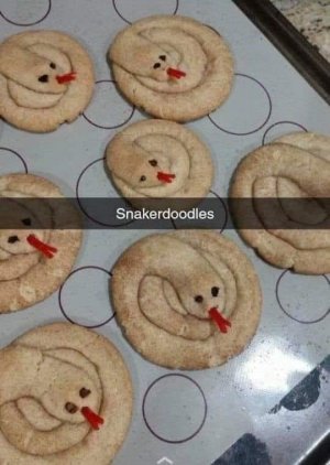 snakerdoodles.jpg