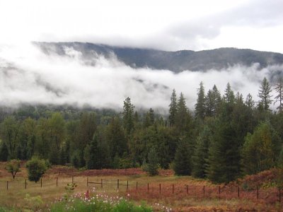 Valley Morning 2 .jpg