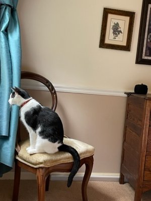 IMG_0773.jpeg