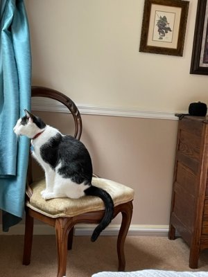 IMG_0774.jpeg