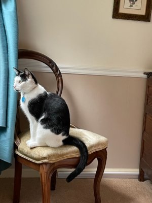 IMG_0779.jpeg
