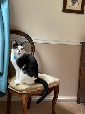 IMG_0780.jpeg